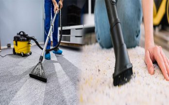 How to Get a Deep Clean From a Professional Carpet Cleaner