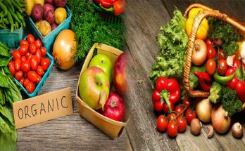The Benefits of Organic Food