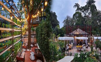 The Best Farm-To-Table Restaurants