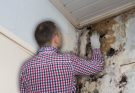 Mold Removal Expert - Do it Yourself or Hire a Professional?
