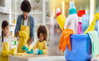 Eco-friendly House Cleaning Products for a Healthy Home Environment