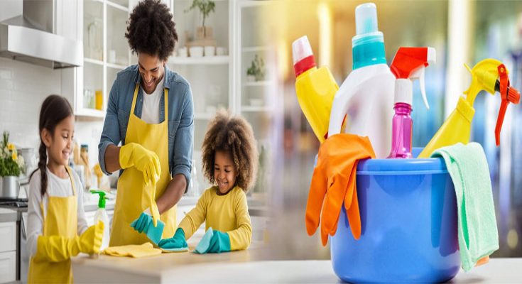 Eco-friendly House Cleaning Products for a Healthy Home Environment