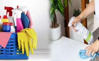 Non-Toxic Cleaning Solutions in Safeguarding Your Family's Health at Home