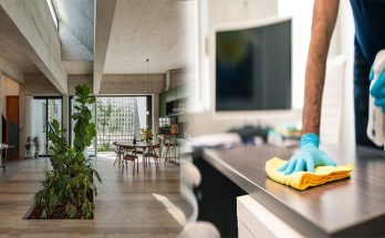 Professional Green Cleaning Services for Promoting a Healthy Indoor Environment