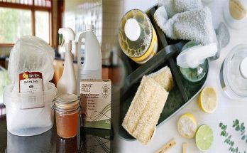 Recipes and Tips for Healthy Cleaning: DIY Natural Cleaners for a Toxin-Free Home